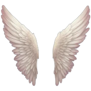 pair of wings sticker