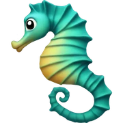 Seahorse  sticker