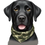 Black Labrador wearing camo bandana sticker