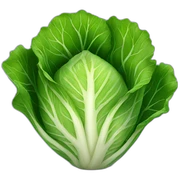 cabbage  sticker