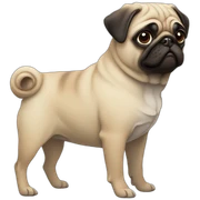 Pug sticker