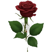 dark red rose sticker