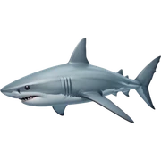 Realistic full bodied Shark sticker