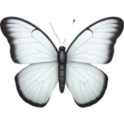 White butterfly  sticker
