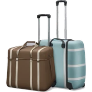 Carry bag reisenthel  sticker