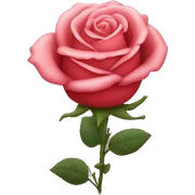 Rose sticker