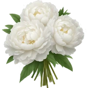 White peonies bouquet sticker