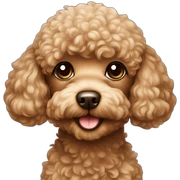 toy poodle sticker