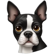 Boston terrier sticker