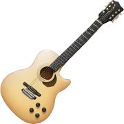 Guitar sticker