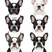 black and white french bulldog sticker
