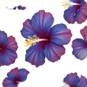 blue hibiscus flower sticker