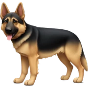 short leg german shepherd  sticker
