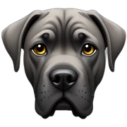 cane-corso sticker