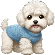 Dog Maltipoo wearing a sweater sticker