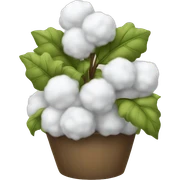 cotton  sticker