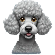 Grey poodle sticker