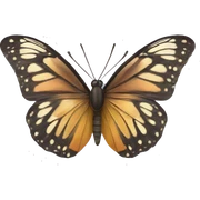 butterfly  sticker