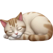 cat that is sleeping sticker