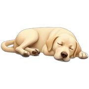 Labrador sleeping sticker