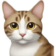 European cat sticker