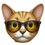 Cat with sunglasses sticker
