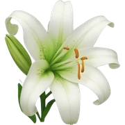 Lily  sticker