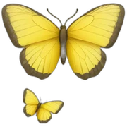 Yellow butterfly sticker