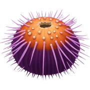 sea ​​urchin sticker