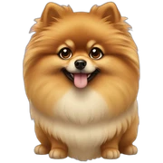 Pomerania sticker