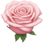 Court pastel rose sticker