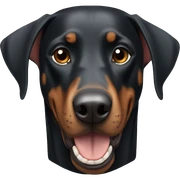 doberman  sticker