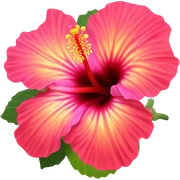 Hibiscus sticker