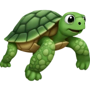 turtle sticker