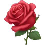 Rose sticker