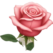 rose sticker