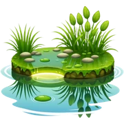 Pond sticker