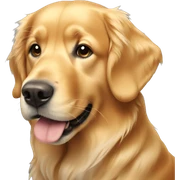 golden retriever  sticker