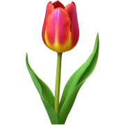 Tulip sticker