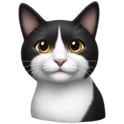Black and white cat sticker