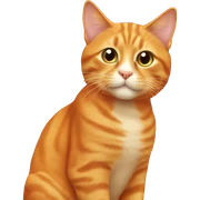 Orange cat  sticker