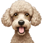cross eyed poodle sticker