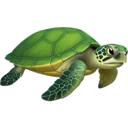 sea turtle sticker