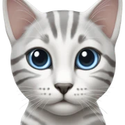 White and grey tabby blue eyes sticker