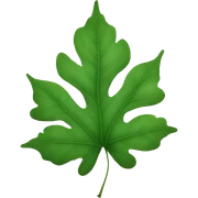 leaf sticker