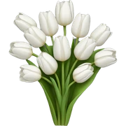 white tulip bouquet  sticker