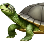 turtle sticker