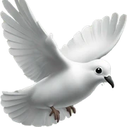 dove money sticker