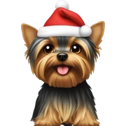 Yorkie wearing Christmas hat sticker