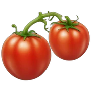 Tomate sticker